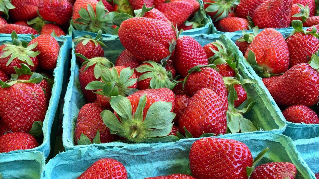 Read more about the article Charleston Farmers Market