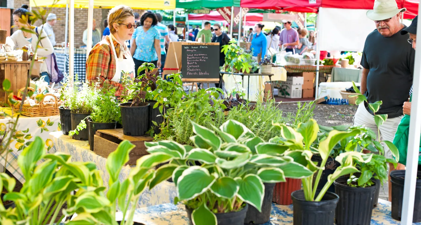 Read more about the article The Charleston Farmers Market