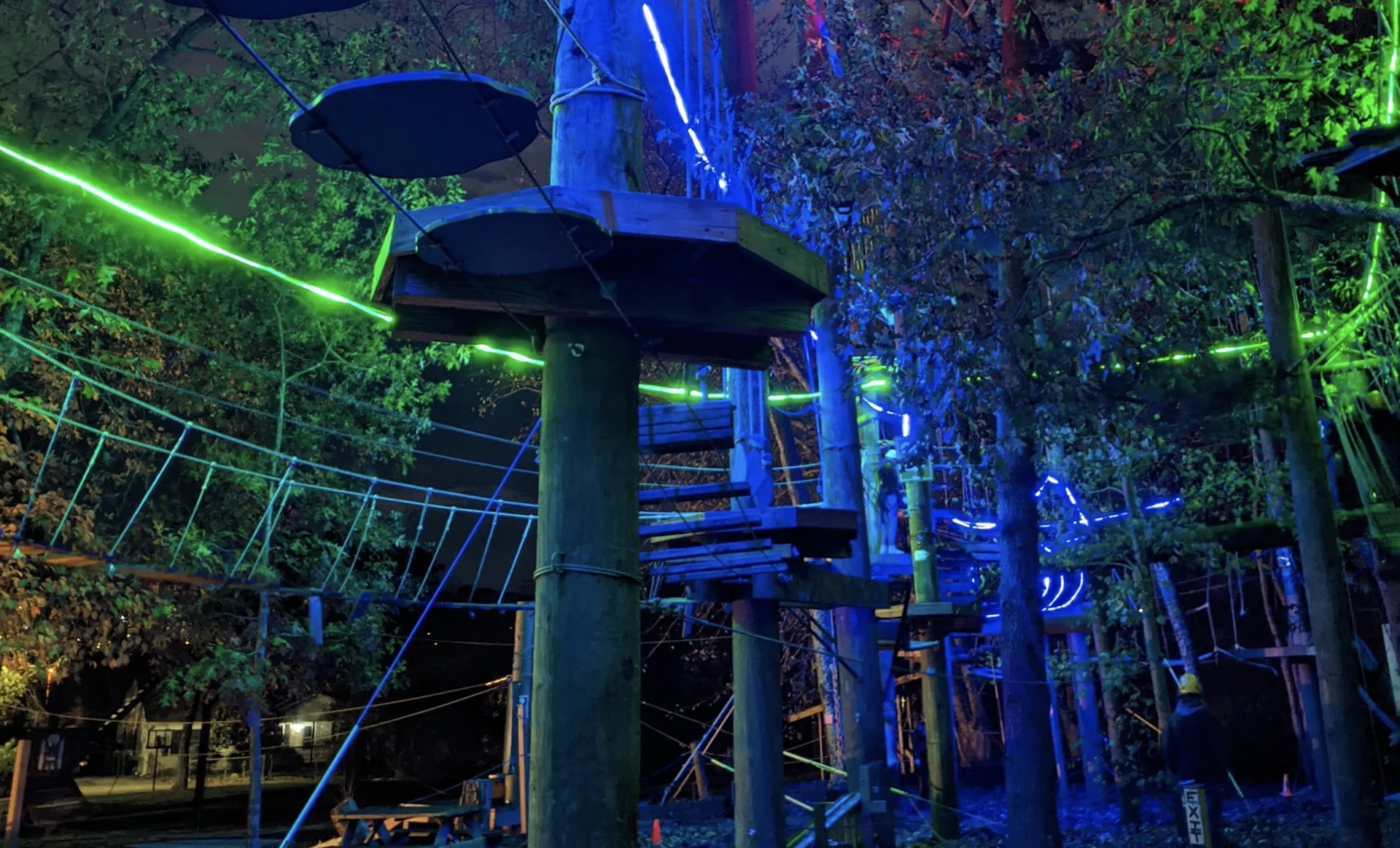 Read more about the article Twilight in the Treetops Night Climbs