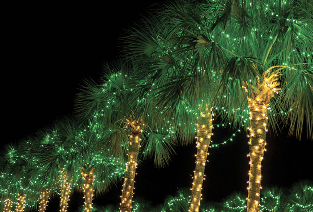 Holiday Festival Of Lights | The Restoration Hotel Collection