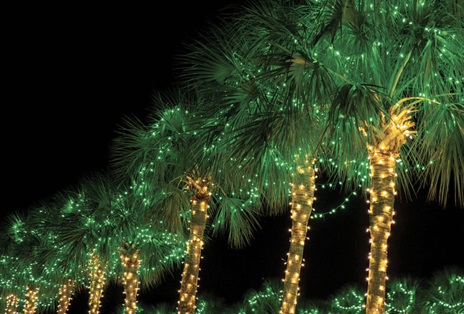 Read more about the article Holiday Festival of Lights