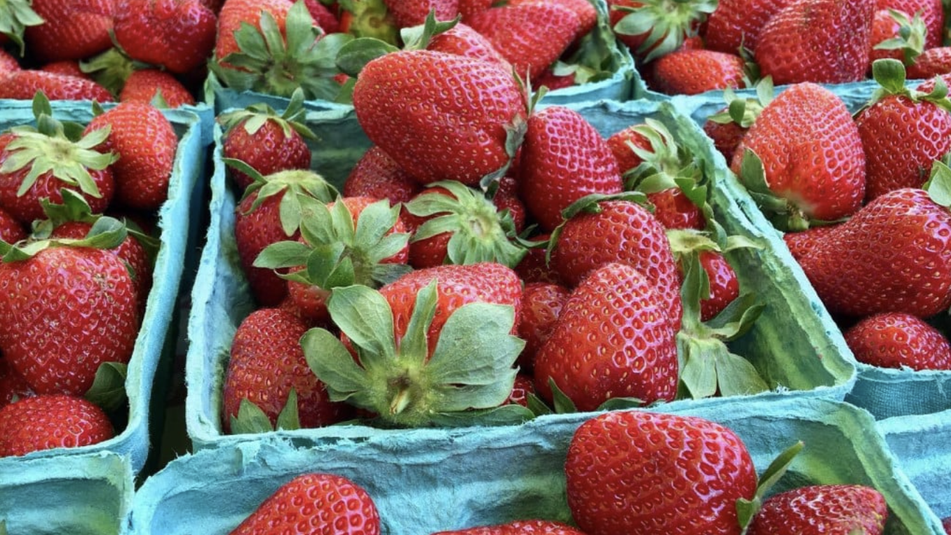Read more about the article River Arts District Farmers Market