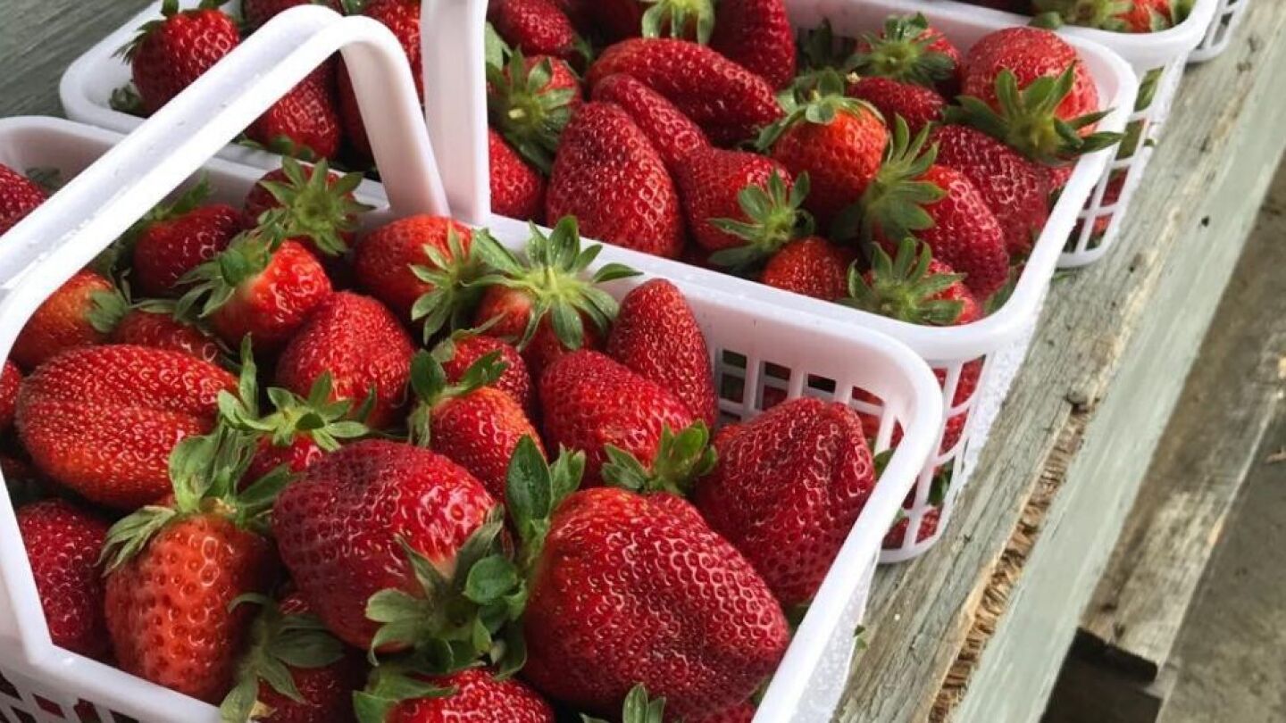 Read more about the article Asheville City Market
