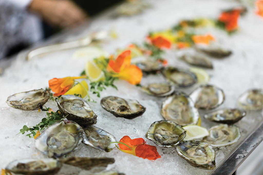 Lowcountry Oyster Festival The Restoration Hotel Collection