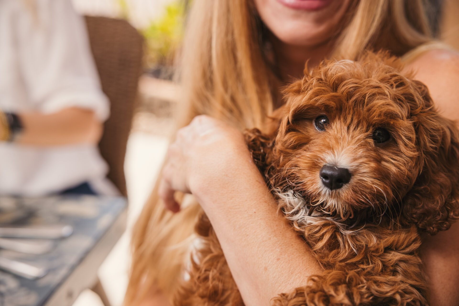 Read more about the article Bark N Brunch
