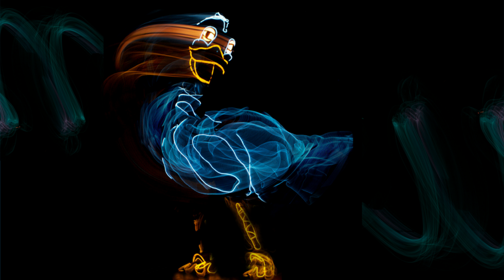 Read more about the article Spoleto Festival: Lightwire Theater: The Ugly Duckling