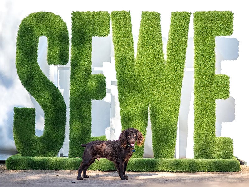 Read more about the article SEWE Southeastern Wildlife Exposition