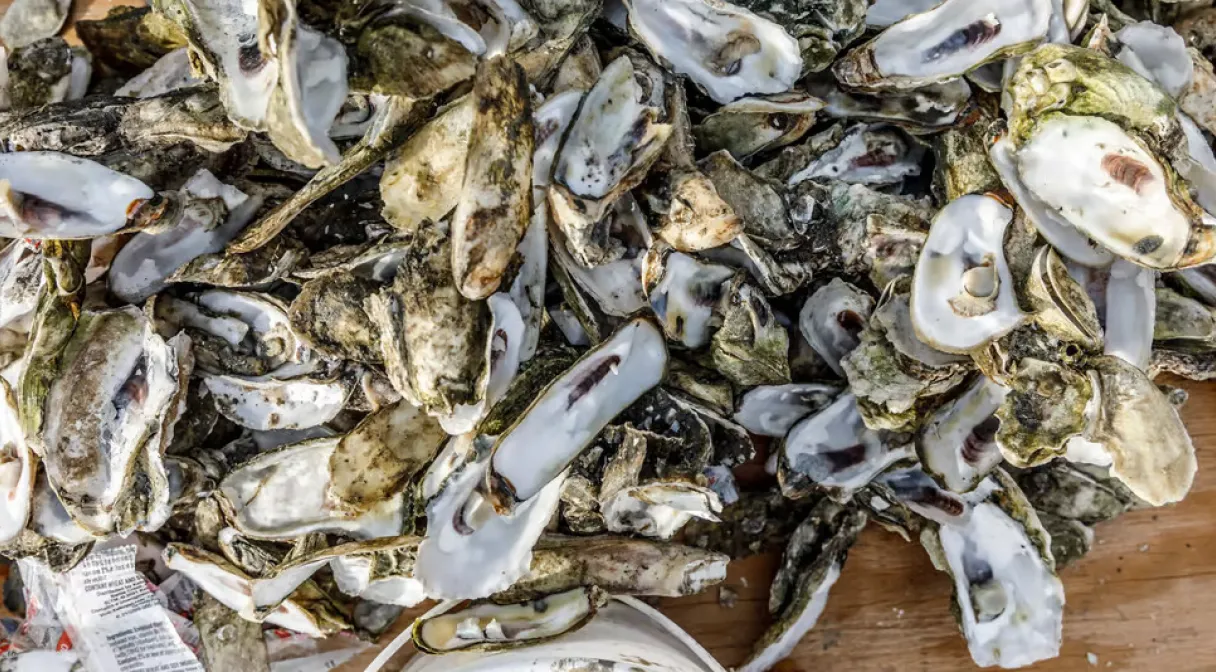 Read more about the article Firefly Distillery Oyster Roast