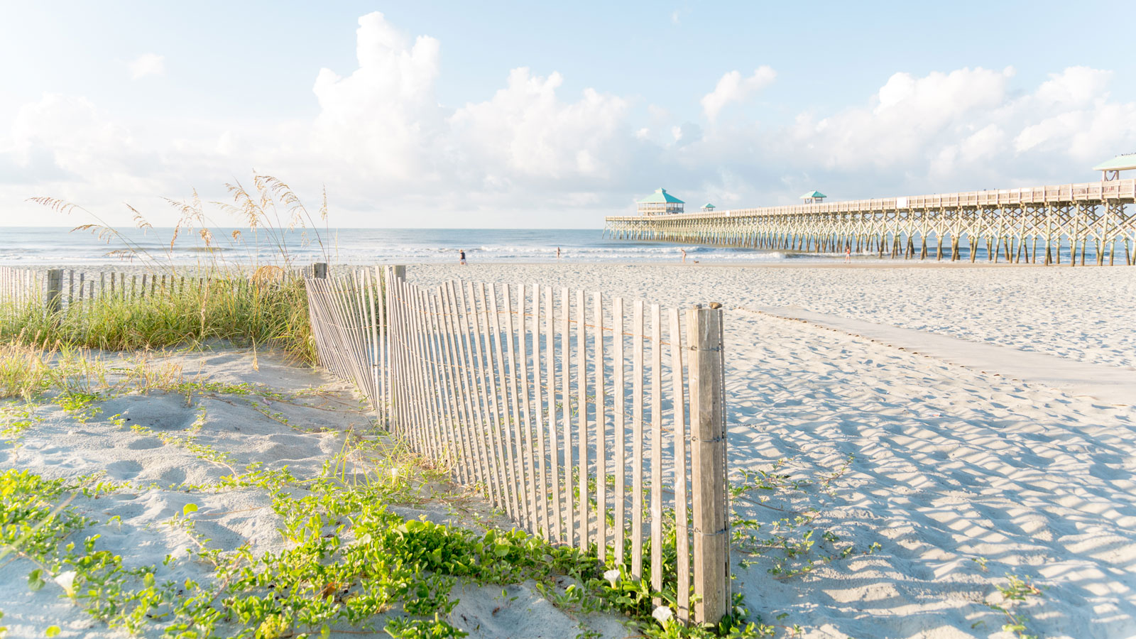 Read more about the article From City Streets To Seaside Breezes: Top Coastal Activities Near Charleston