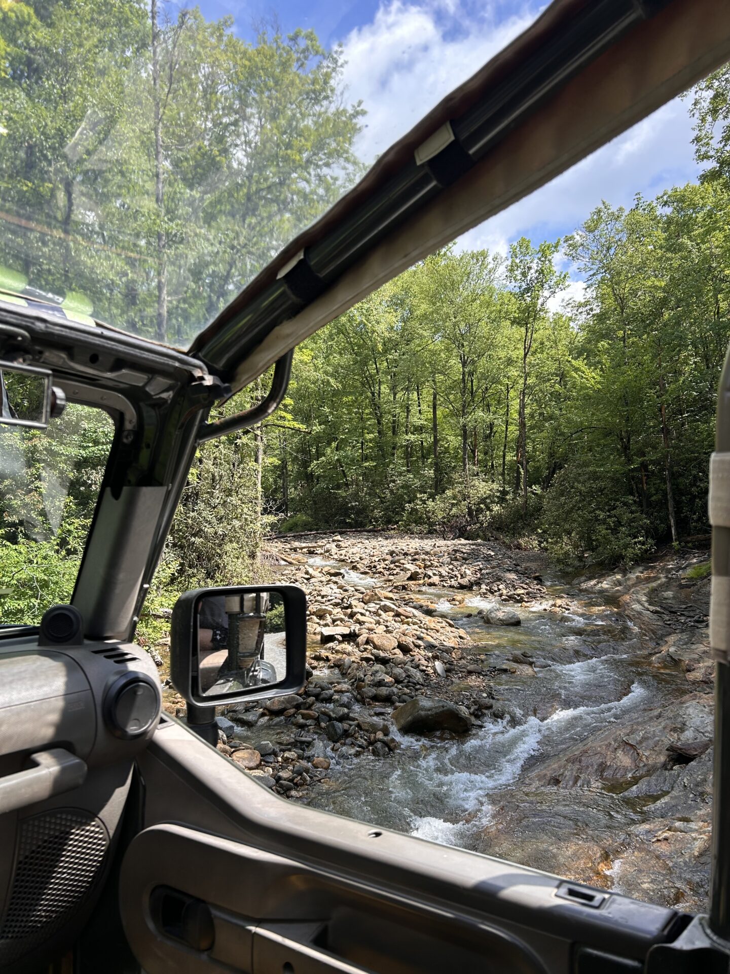 Read more about the article Art, Adventure, and Asheville: Discover It All from The Restoration