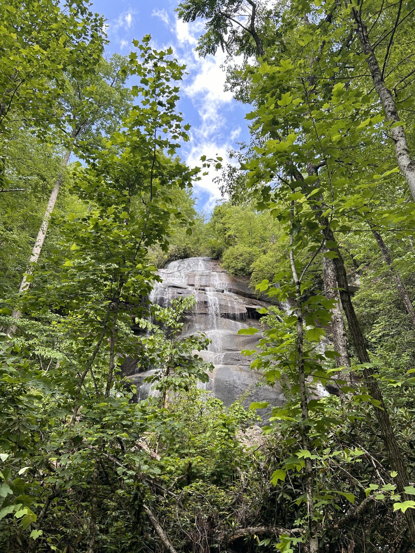 Read more about the article Discover the Best Kid-Friendly Hikes Near The Restoration Asheville