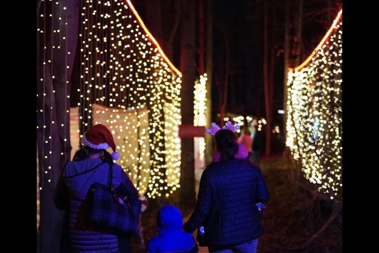 winter wonder walk asheville