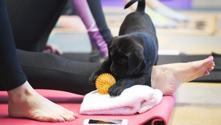 Puppies and Pilates Charleston