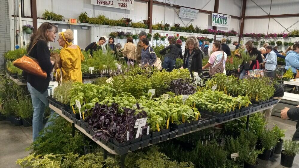 Read more about the article Asheville Spring Herb Festival: A Fresh Perspective on Spring in Asheville