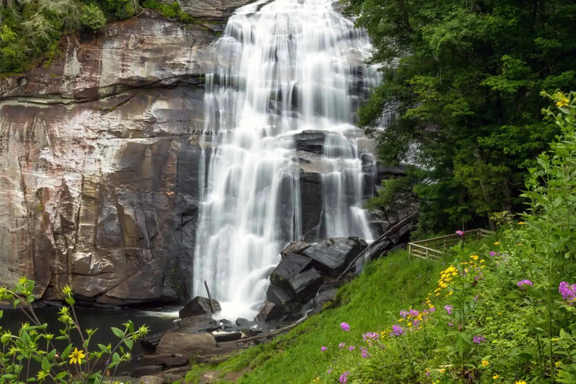 Read more about the article Team Building Activities in Asheville for Corporate Groups