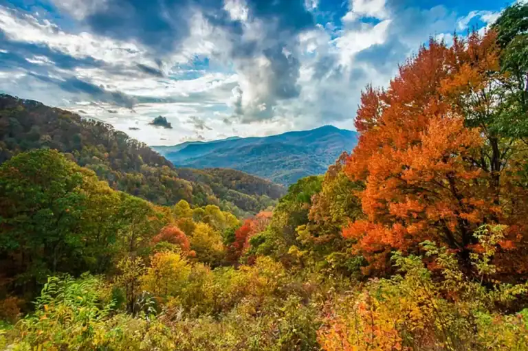 peak fall color in Asheville, Blue Ridge Parkway fall colors, Asheville fall foliage, Blue Ridge Views