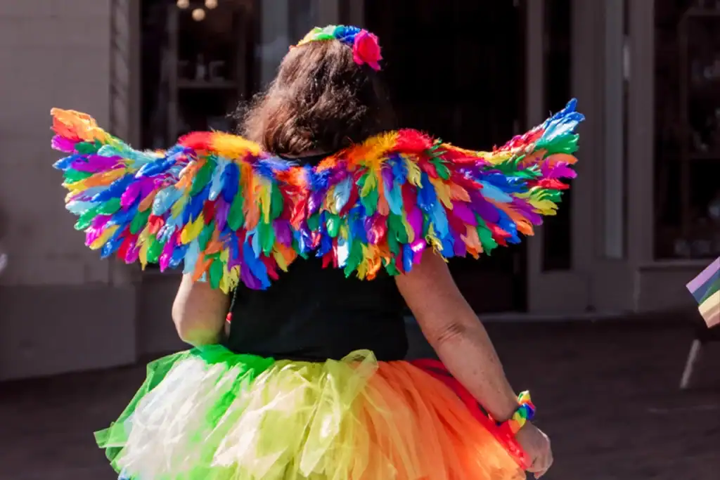 Blue Ridge Pride Festival