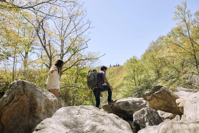 The Restoration Asheville Hotel Packages